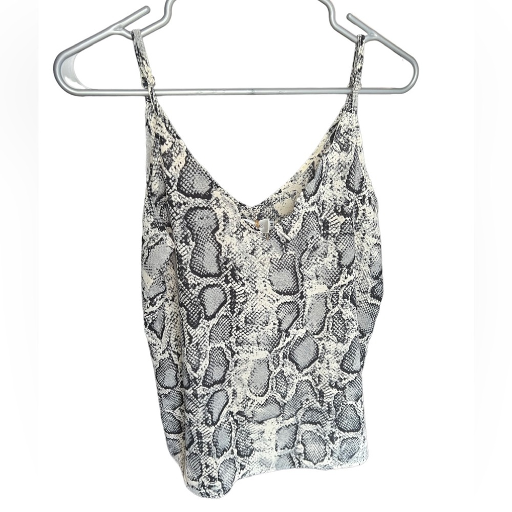 Space 46 Gray Anaconda Scallop Tank